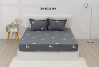 Bộ ga chun chần 180x200 Sông Hồng chất cotton - BC22 067