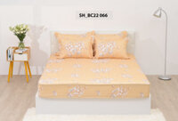 Bộ ga chun chần 180x200 Sông Hồng chất cotton - BC22 066
