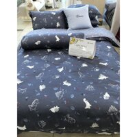 Bộ ga chun chần  2 vỏ gối EPC21052 - 180200