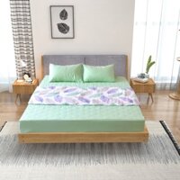 Bộ ga chun chần cotton Sông Hồng 180 cm x 200 cm - BC20021