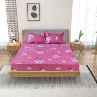 Bộ ga chun chần cotton Sông Hồng 180 cm x 200 cm - BC20014