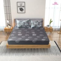 Bộ ga chun chần cotton Sông Hồng 180 cm x 200 cm - BC21041