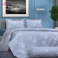 Bộ ga chun chần cotton Sông Hồng 180 cm x 200 cm - BC67