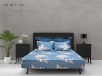Bộ ga chun chần cotton Sông Hồng 180 cm x 200 cm - BC21036