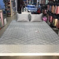 Bộ ga chun chần cotton Sông Hồng 180 cm x 200 cm - BC20027