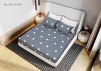 Bộ ga chun chần cotton Sông Hồng 180 cm x 200 cm - BC21035