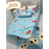 Bộ ga chun chăn hè poly