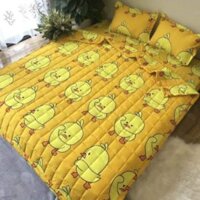 bộ ga chun chăn hè poly