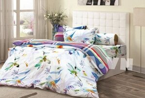 Bộ ga chun Everon EVE1 1.8 x 2 m