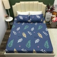 Bộ Ga Chun Kèm 2 Vỏ Gối  Cotton 100% Ga Chun Bọc Đệm Đủ Size Mềm Mại Thoáng Mát 1m8 x 2m và 1m6 x2m