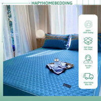 Bộ Ga Chun Trần Bông 3 Món Vải Phi Lụa Thêu chữ CHRISTLAN DỈO Đủ Size Sang Trọng