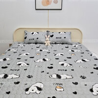 Bộ Ga Chun Trần bông xơ đậu lành vải cotton poly 3 lớp dày dặn nhiều màu sắc đủ size