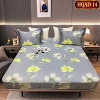 Bộ Ga Chun Trần  Hàn Quốc Tencel Trần Bông Kèm 2 Vỏ Gối m6 m8 2m2 nhiều mẫu