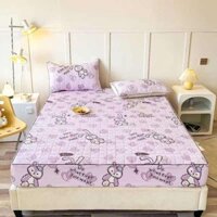 Bộ GA Chun trần kèm 2 vỏ gối đồng bộ  vải Cotton Đũi xơ đậu nành cao cấp