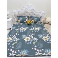 Bộ Ga Chun Trần Poly Hàn Quốc Trần Bông Kèm 2 Vỏ Gối m6 m8 2m2 nhiều mẫu