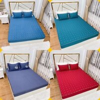Bộ ga chun trần và 2 vỏ gối nằm phi lụa cao cấp