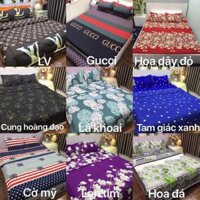 Bộ ga chun và 2 vỏ gối cotton poly (chát trọn mẫu)