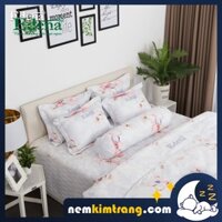 Bộ Ga (Drap) Nệm Cotton In Edena Mẫu 446 - CHÍNH HÃNG, CAO CẤP