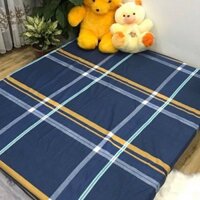 Bộ ga giuong 1m6 1m8 LINHALMONDS - 1 ra giường 2 áo gối nằm 45 x 65 mẫu kẻ chỉ vàng (kèm ảnh thật)
