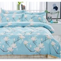 Bộ ga giường cotton