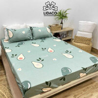 Bộ ga giương poly cotton LIDACO drap giường đủ size nệm 1m2, 1m4, 1m6, 1m8 Tăng 01 vo gôi ôm - Bơ xanh - 2m2x2m