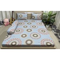 Bộ Ga Giường Thun Lạnh Hàn Quốc ( 6 màu)