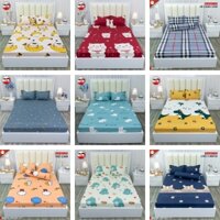 Bộ ga giường vỏ gối 3 món Cotton Poly mẫu mới 2022, giá rẻ tại xưởng, ga chun kích thước 1m2, 1m4