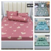 Bộ ga gối 3 món cute m6,m8