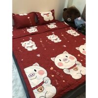 bộ ga gối 3 món - drap giường cotton poly mẫu  siêu đẹp