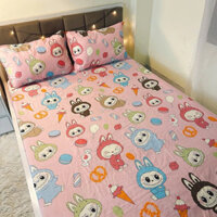 Bộ ga gối 3 món poly coton đầy đủ kích thước hàng loại 1