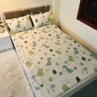 Bộ ga gối 3 món poly coton 1m6x2m và 1m8x2m hàng loại 1