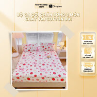 Bộ ga gối chần bông 3 món chất vải cotton đũi dệt bông xơ đậu nành full size - Bear Bedding Store