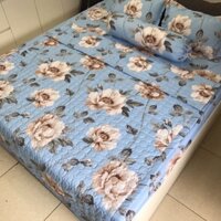 Bộ ga, gối, chăn trần bông
