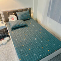 Bộ ga gối chun trần bông cotton poly size 2MX2M2 , ga trải giường trần bông mỏng bo chun bọc đệm TỐI ĐA 15CM