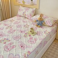 Bộ Ga Gối Cotton Đũi Hàn ,Ga Bọc Đệm Trần Bông Phong Cách Hàn Quốc