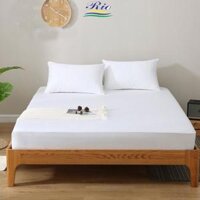 Bộ Ga Gối Cotton Khách Sạn Trắng Trơn RIOTEX Dành Cho Nệm 20-25cm - Vỏ gối ôm 38x100cm