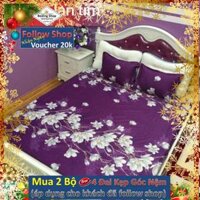 Bộ Ga Gối Cotton POLY Kovico 2018 ( Bộ sưu tập các loài Hoa)