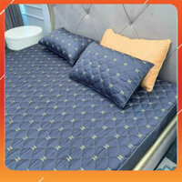 Bộ ga gối phi lụa trải giường ga trần bông bo chun ga chun trần bông cap cấp phi lụa đủ kích thước m6 m8 2m