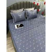 Bộ ga gối phi lụa trải giường ga trần bông thêu nơ cao cấp phi lụa đủ kích thước m6 m8 2m