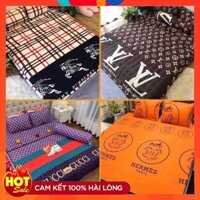 Bộ ga gối poly 1m6 x 2m🎁TẶNG QUÀ🎁 1 drap nệm + 2 vỏ gối đầu 45 x 65 cm mẫu sang chảnh xịn sò