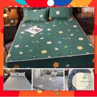 Bộ Ga Gối/ Thảm ga/ Chiếu điều hoà Cao su non xịn đẹp - vừa đệm chân cao -HOT