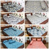 Bộ ga gối Thun lạnh HÀN QUỐC, Ga trải giường 1m2, 1m4, 1m6, 1m8x2m (1 ga bọc + 2 vỏ gối nằm + 1 vỏ gối ôm)