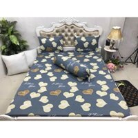 Bộ Ga gối thun lạnh hàn quốc, drap thun lạnh 3D ( bộ 4 món)