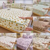 Bộ ga gối trần bông 3 Món Cotton đũi dệt bông xơ đậu lành , đủ kích thước , được chọn mẫu