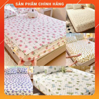 Bộ Ga Gối Trần Bông 3 Món Cotton Đũi Dệt Hữu Cơ Sơ Đậu Lành Mền Mịn Thoáng Mát Đầy Đủ Size giá tại xưởng giá xưởng