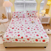 Bộ Ga Gối Trần Bông 3 Món Cotton Đũi Dệt Hữu Cơ Sơ Đậu Nành Mền Mịn Thoáng Mát Đầy Đủ Size