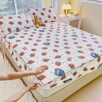BỘ GA GỐI TRẦN BÔNG 3 MÓN COTTON ĐŨI DỆT BÔNG XƠ ĐẬU NÀNH FULL SIZE