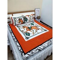 Bộ ga gối trần bông bo chun HOT NEW 2022 ga trần bông 3 lớp dày dặn, được chọn mẫu