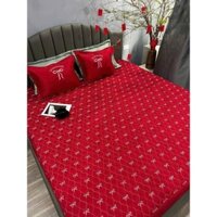 Bộ ga gối trần bông bo chun phi lụa nơ thêu sóng 3 món