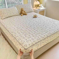 Bộ Ga Gối Trần Bông chất đũi thoáng mát - Hàng xuất khẩu